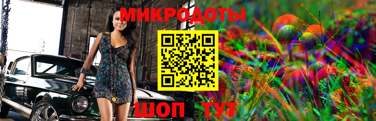 Псилоцибиновые грибы Cubensis Сочи