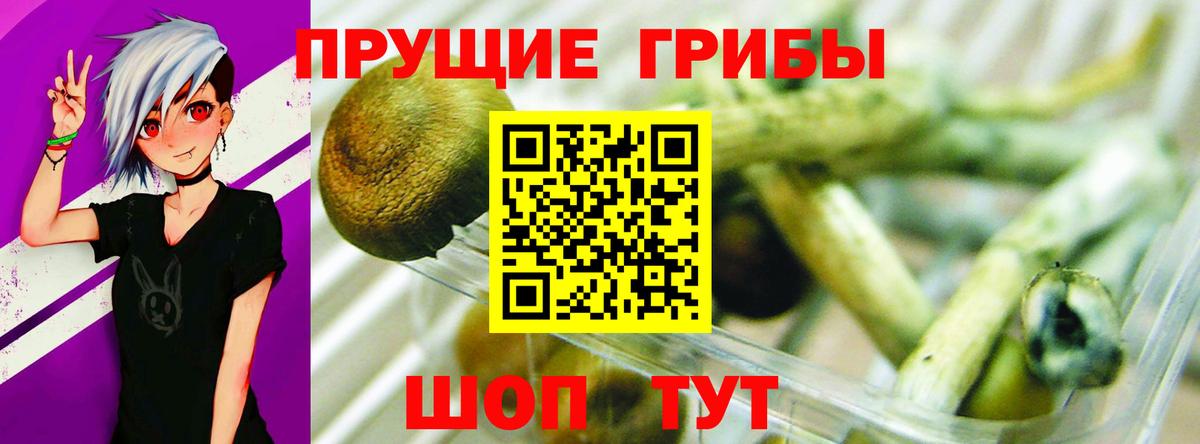 Сочи  Псилоцибиновые грибы Magic Shrooms  Вход с VPN  закладки  Псилоцибиновые грибы ЛСД 